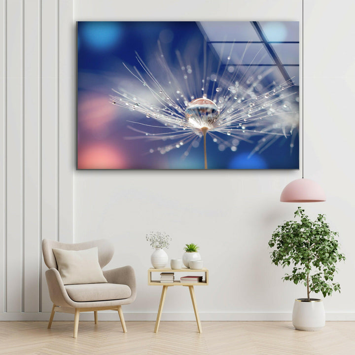 Blue Dandelion With Drops Glass Wall Art, glass photo prints, glass picture prints