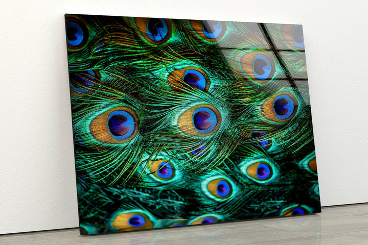 Oversized  Peacock Feathers Glass Wall Art for Homes