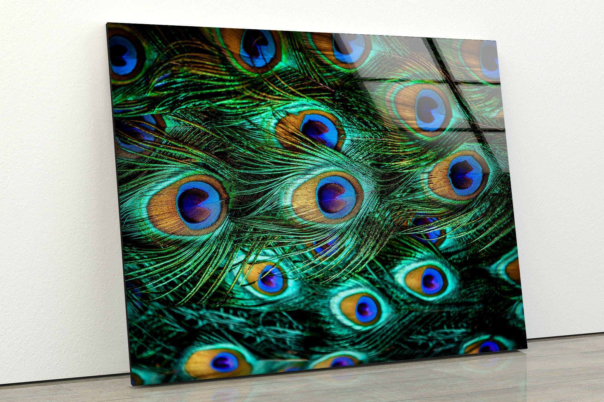 Peacock Feathers Tempered Glass Wall Art