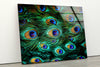 Peacock Feathers Tempered Glass Wall Art