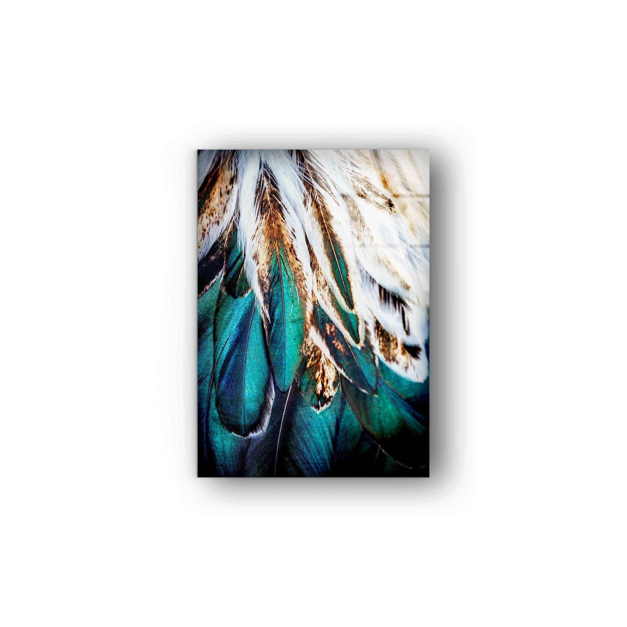 Abstract Feather Tempered Glass Wall Art