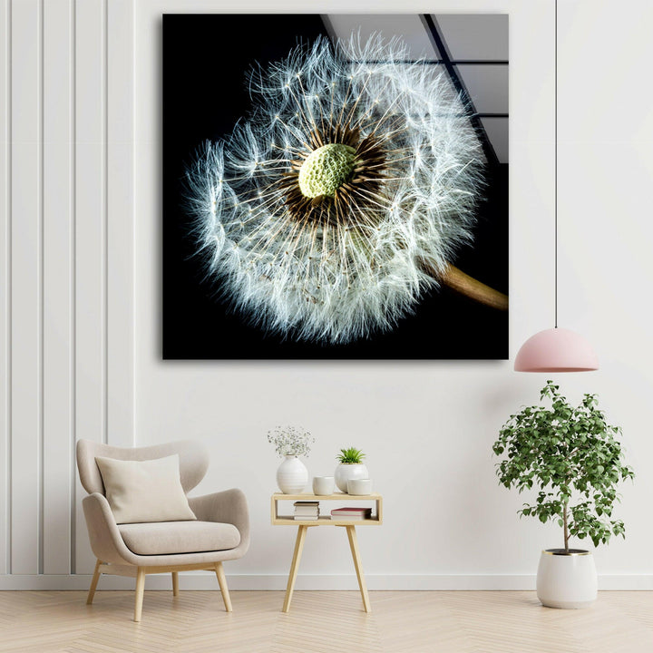 Dandelion Seeds Closeup Glass Wall Art, picture on glass wall art, photos printed on glass