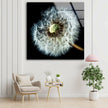 Dandelion Flower Tempered Glass Wall Art