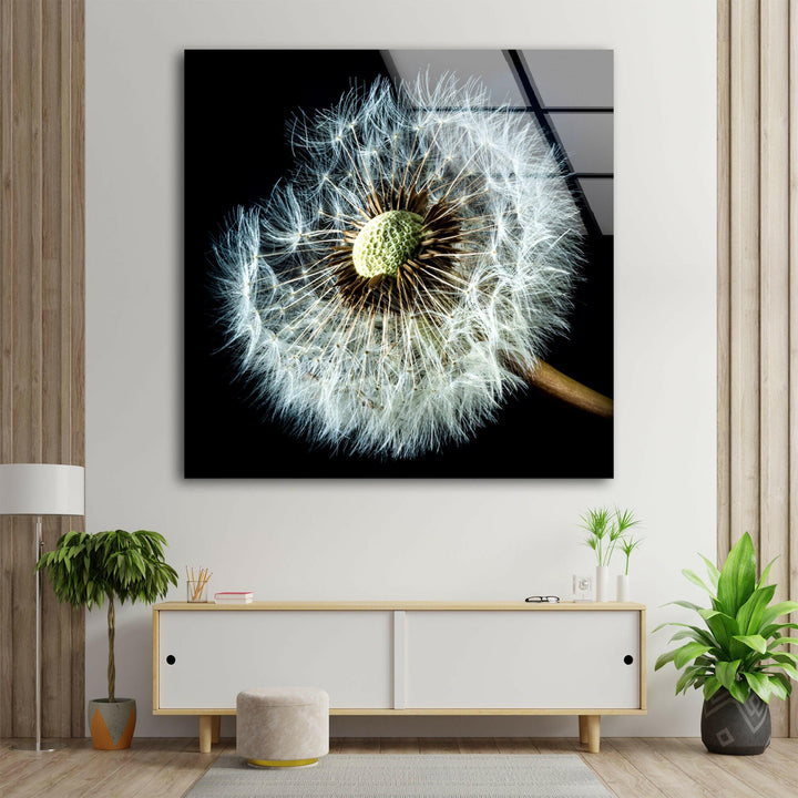 Dandelion Seeds Closeup Glass Wall Art, photo print on glass, prints on glass wall art