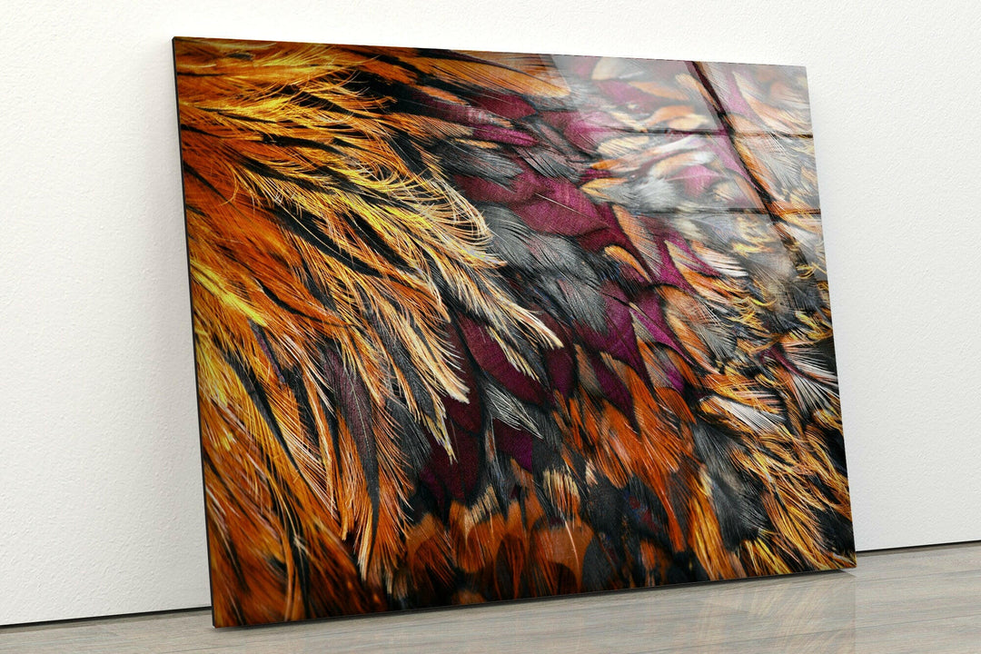 Bright Brown Feather Glass Wall Art