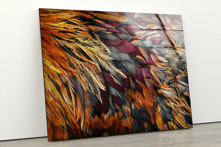 Bright Brown Feather Glass Wall Art