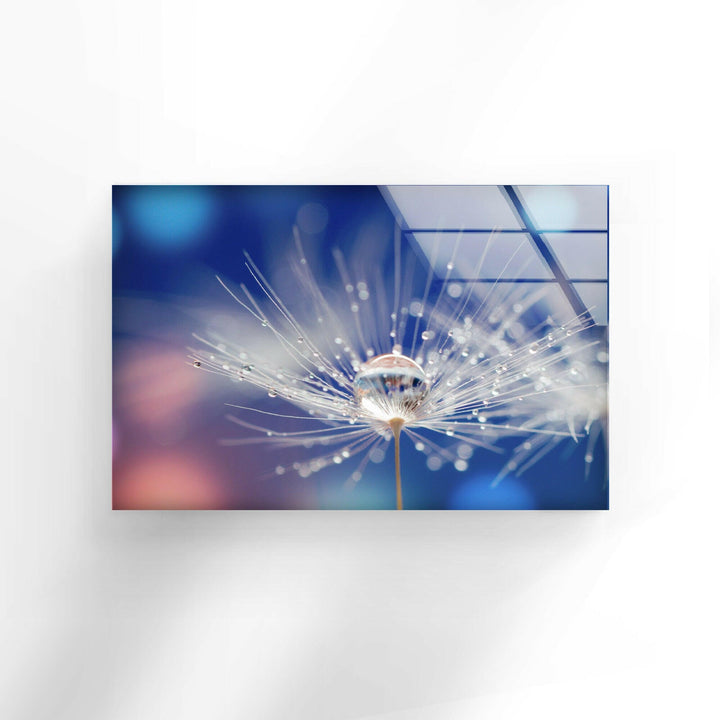 Blue Dandelion With Drops Glass Wall Art, glass image printing, glass prints from photos