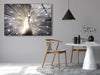 White Peacock Tempered Glass Wall Art