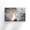 White Peacock Tempered Glass Wall Art