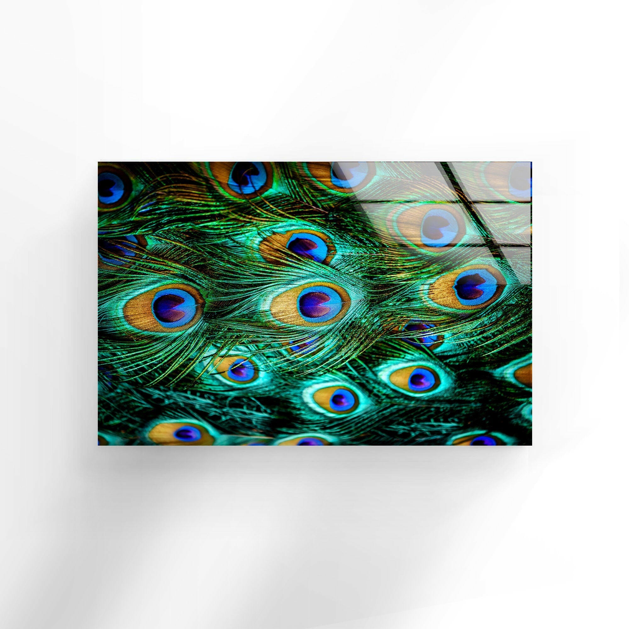 Peacock Feathers Tempered Glass Wall Art