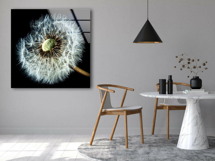 Dandelion Seeds Closeup Glass Wall Art, large glass photo prints, glass wall photos