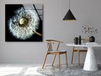 Dandelion Flower Tempered Glass Wall Art