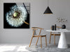 Dandelion Flower Tempered Glass Wall Art