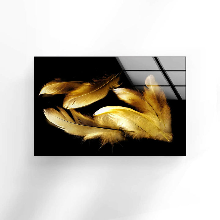 Gold Feathers with Black background Glass printing Wall Art