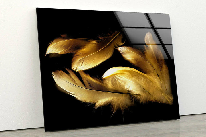 Gold Feathers with Black Background Glass Wall Art Print artdesigna wall art