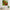 Green and Red Stained Tempered Glass Wall Art
