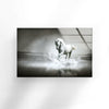White Horse Tempered Glass Wall Art