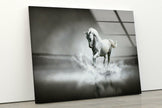 White Horse Tempered Glass Wall Art
