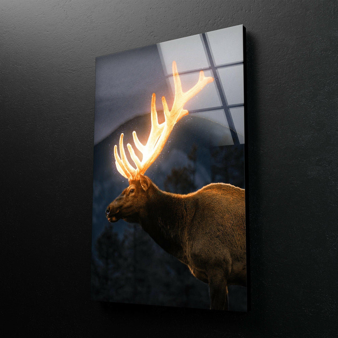 Lighted Deer Glass Wall Art large glass photo prints, glass wall photos