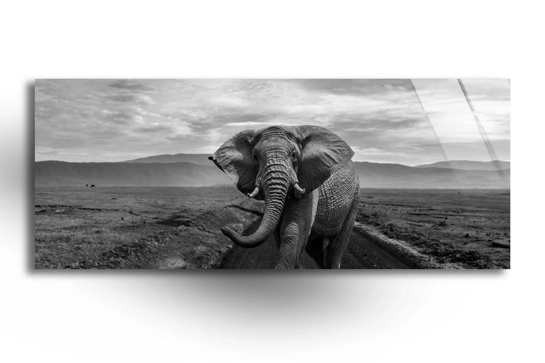La Raccolta Delle Icone Degli Elefanti In Bianco E Nero Per Il Design Set Di Animali Illustrazione Vettoriale Insieme Elefante Image273658239 La Raccolta Delle Icone Degli Elefanti In Bianco E Nero Per Il Design Set Di Animali Illustrazione Vettoriale Insieme Elefante Image273658239