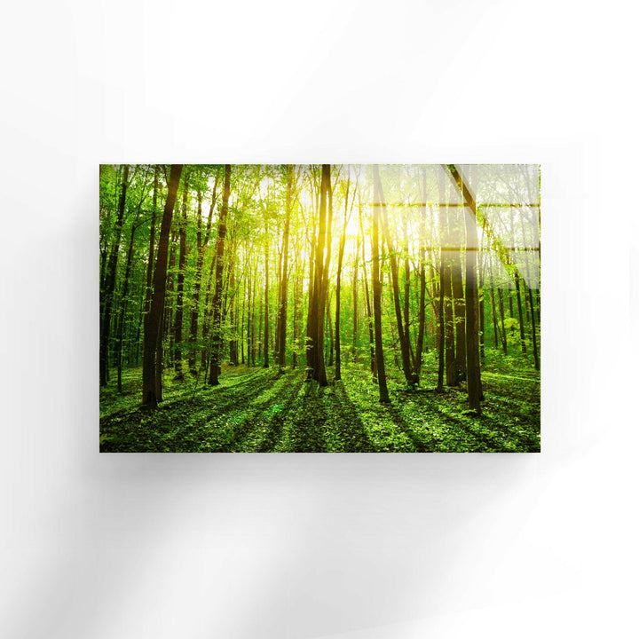 Landscape photos for sale showcasing stunning vistas and picturesque views of the natural world
