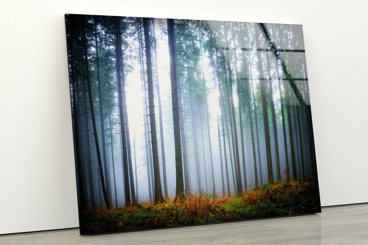 Large landscape wall art transforming spaces with bold, immersive depictions of natural landscapes
