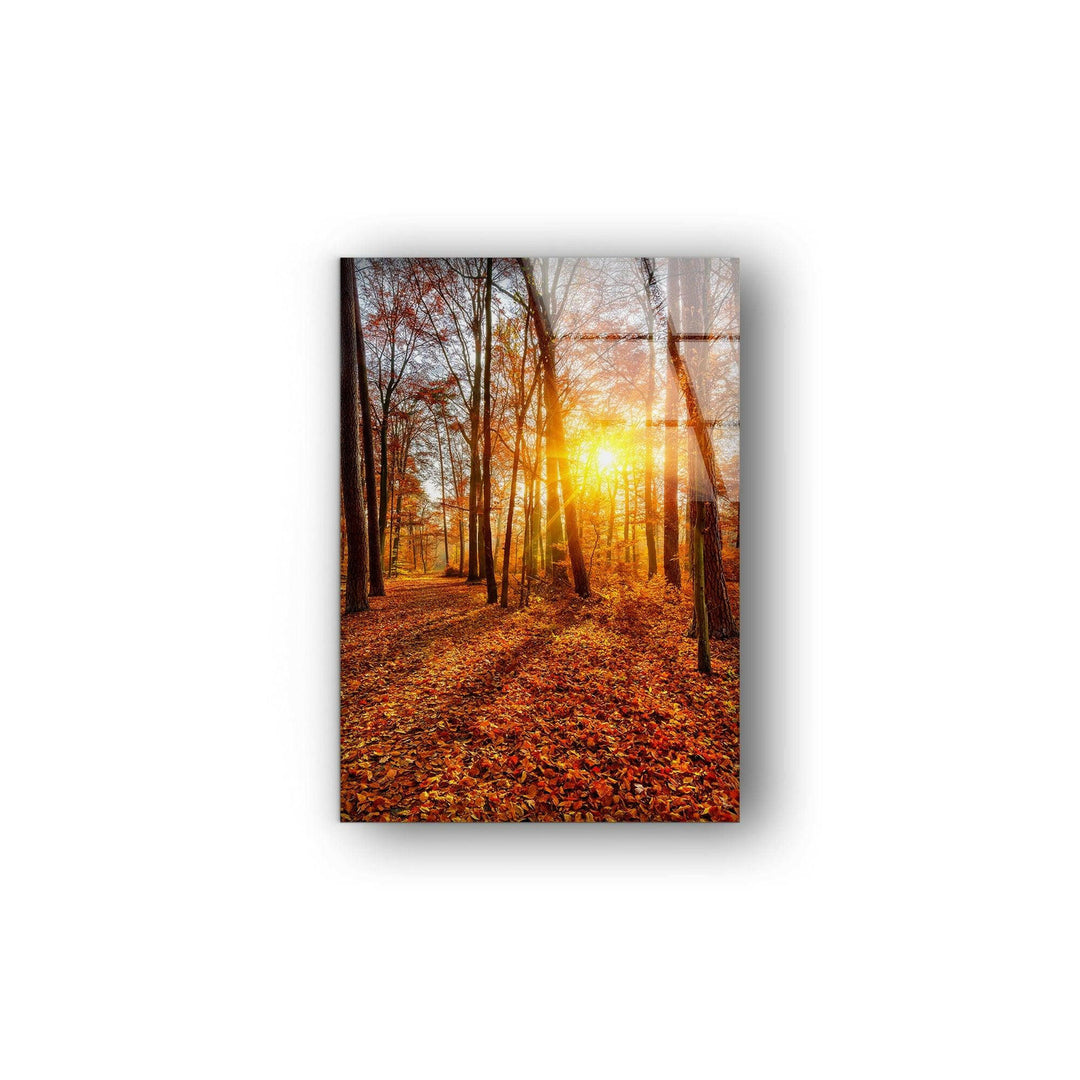 High-resolution glass wall art featuring a breathtaking autumn forest with golden hues.
