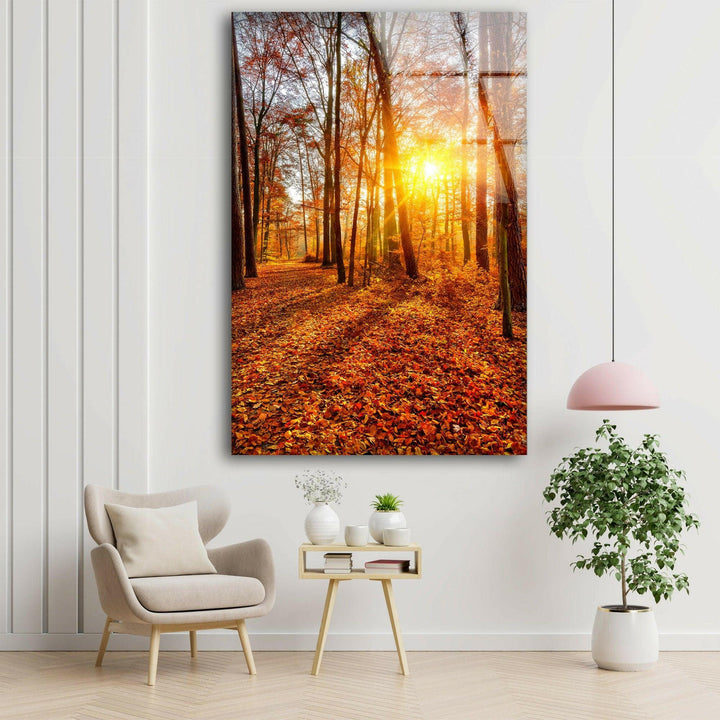 Enchanting woodland scene with warm autumn colors and soft sunbeams through trees.
