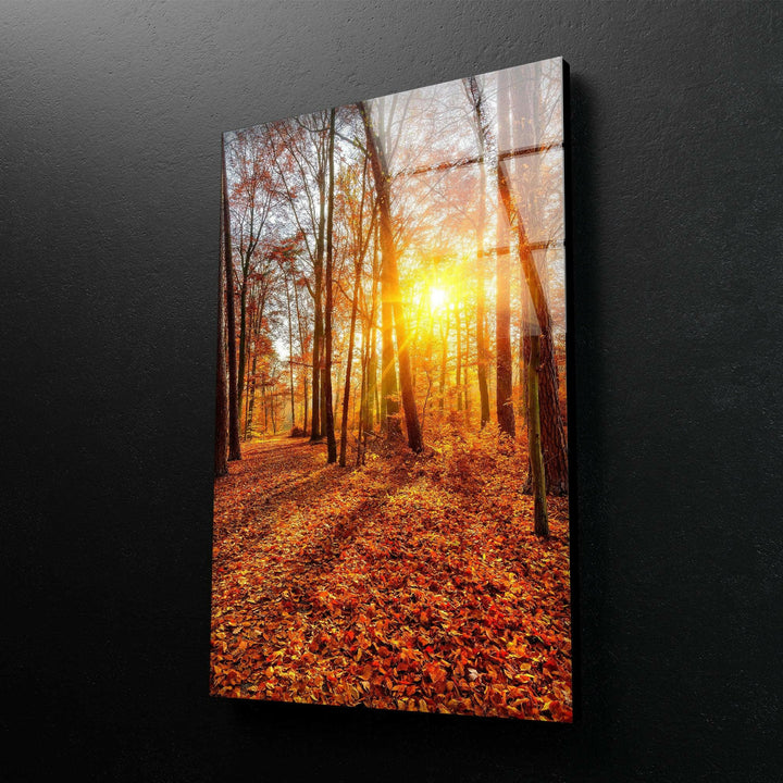 Warm autumn tones in a forest scene with golden leaves and glowing sunlight on glass.
