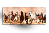 Safari Animals Tempered Glass Wall Art