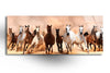 Safari Animals Tempered Glass Wall Art