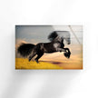 Black Horse Tempered Glass Wall Art
