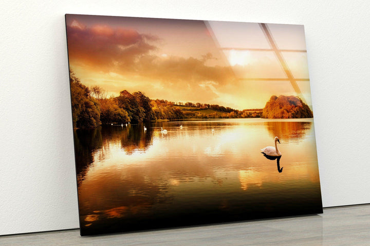Serene Lake Reflection with Swan – A Captivating Glass Print
