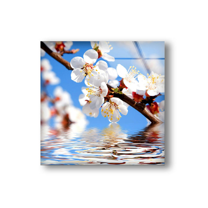Cherry Tree Branch In Bloom Glass Wall Art, glass photo prints, glass picture prints
