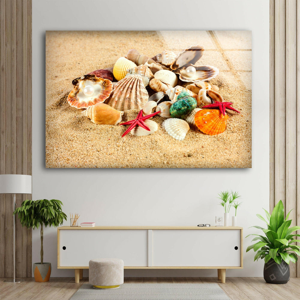 Vibrant seashells and red starfish arranged beautifully on the beach under the sunlight.
