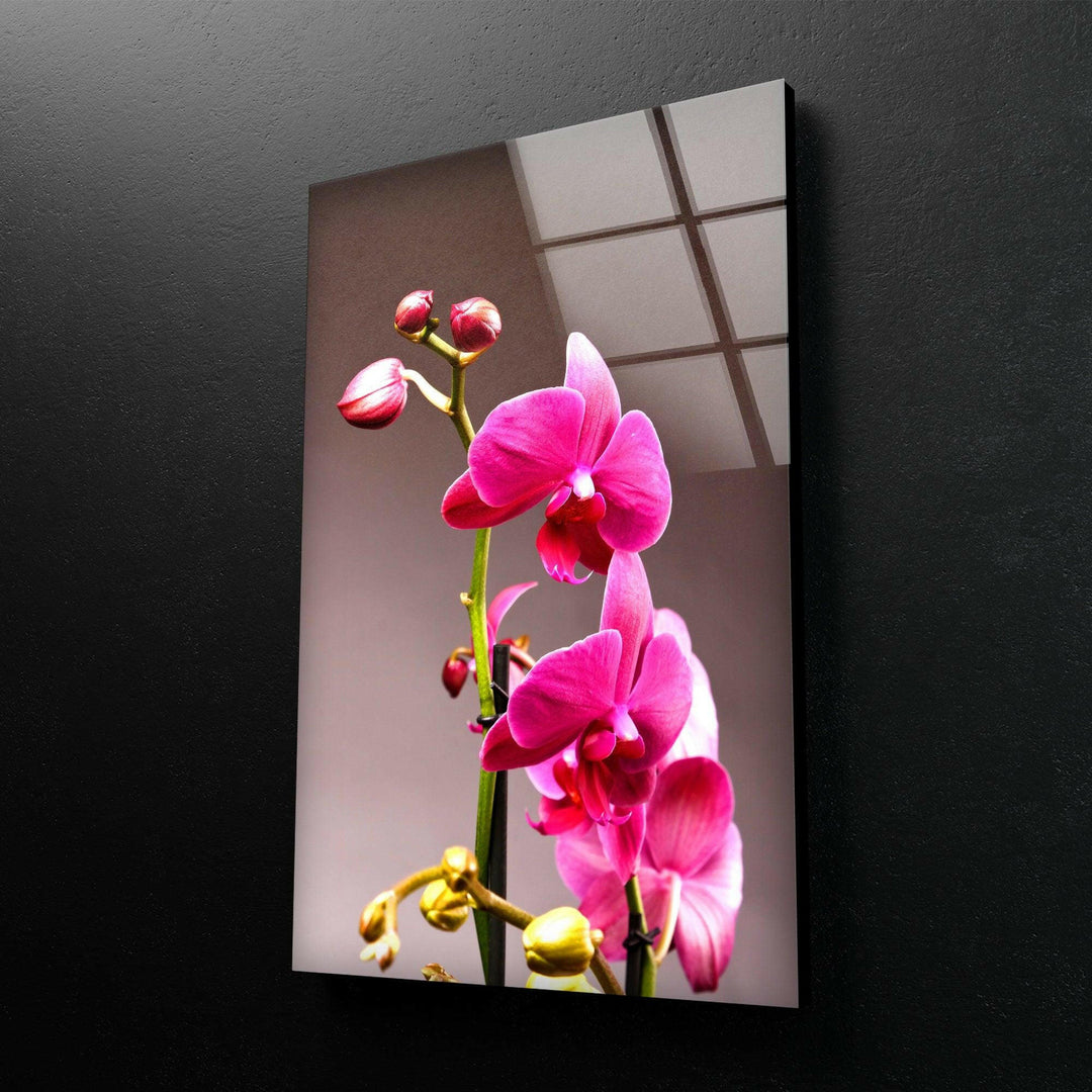 Pink Orchid Glass Wall Art, glass pictures for Wall, glass prints wall art