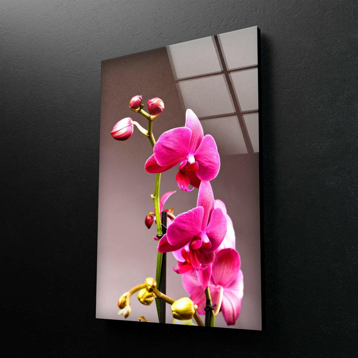 Pink Orchid Glass Wall Art, glass pictures for Wall, glass prints wall art