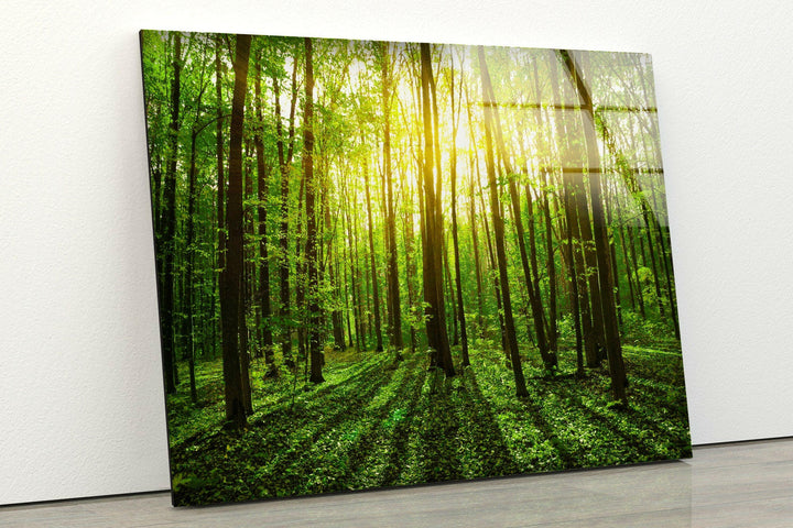 Exquisite landscape art for sale featuring vibrant designs inspired by nature’s most beautiful moments

