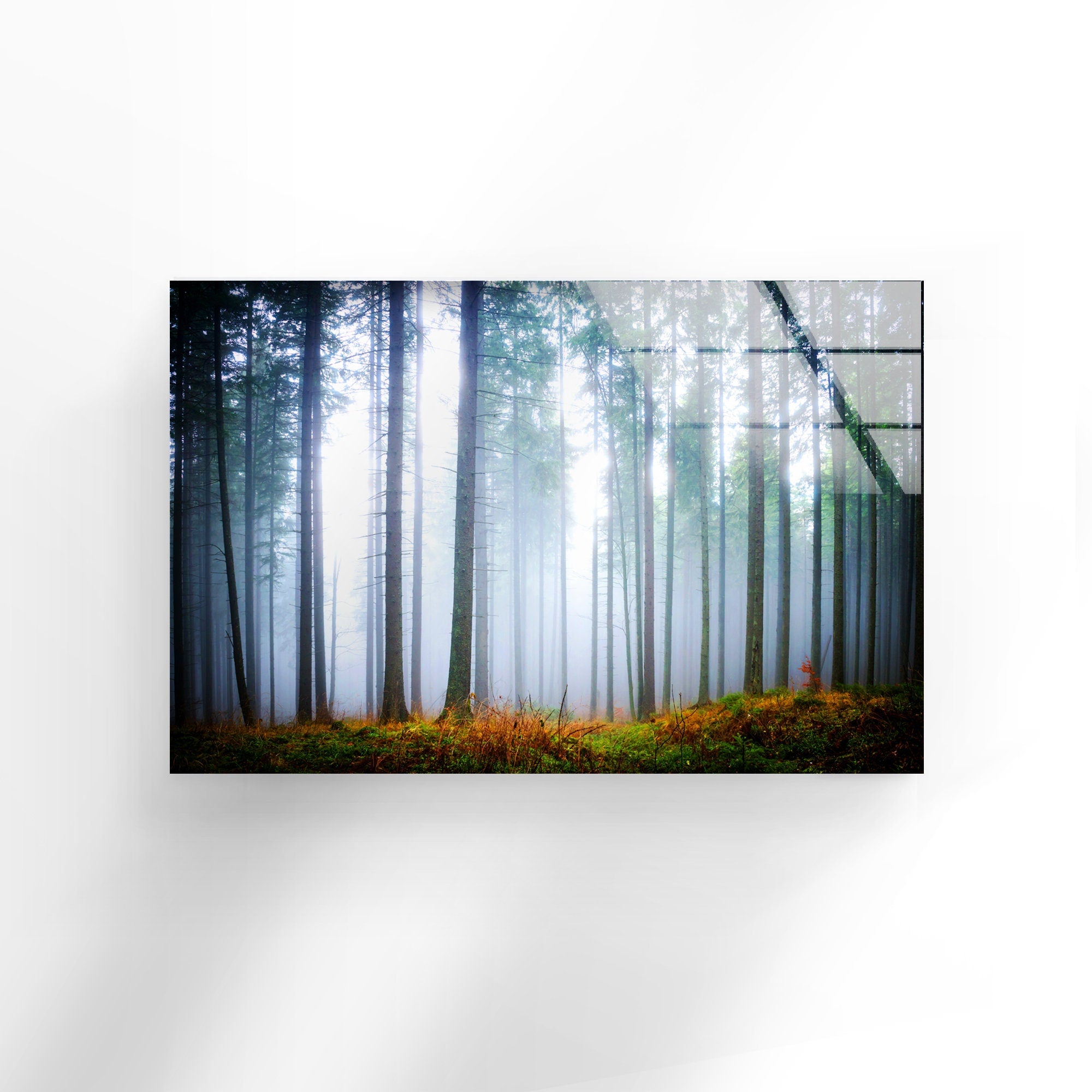 Foggy Forest Tempered Glass Wall Art