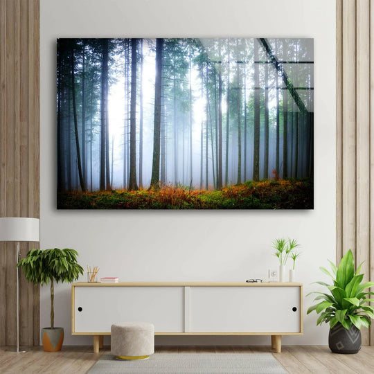 Foggy forest glass wall art features misty nature scene and is calming landscape art and forest art and nature photography on glass wall art