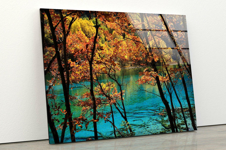 Tranquil Fall Forest Reflection – A Beautiful Glass Artwork for Nature Lovers
