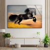 Black Horse Tempered Glass Wall Art