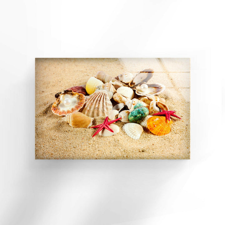 Ocean treasures: a variety of seashells and starfish glowing under the sun on the shore.
