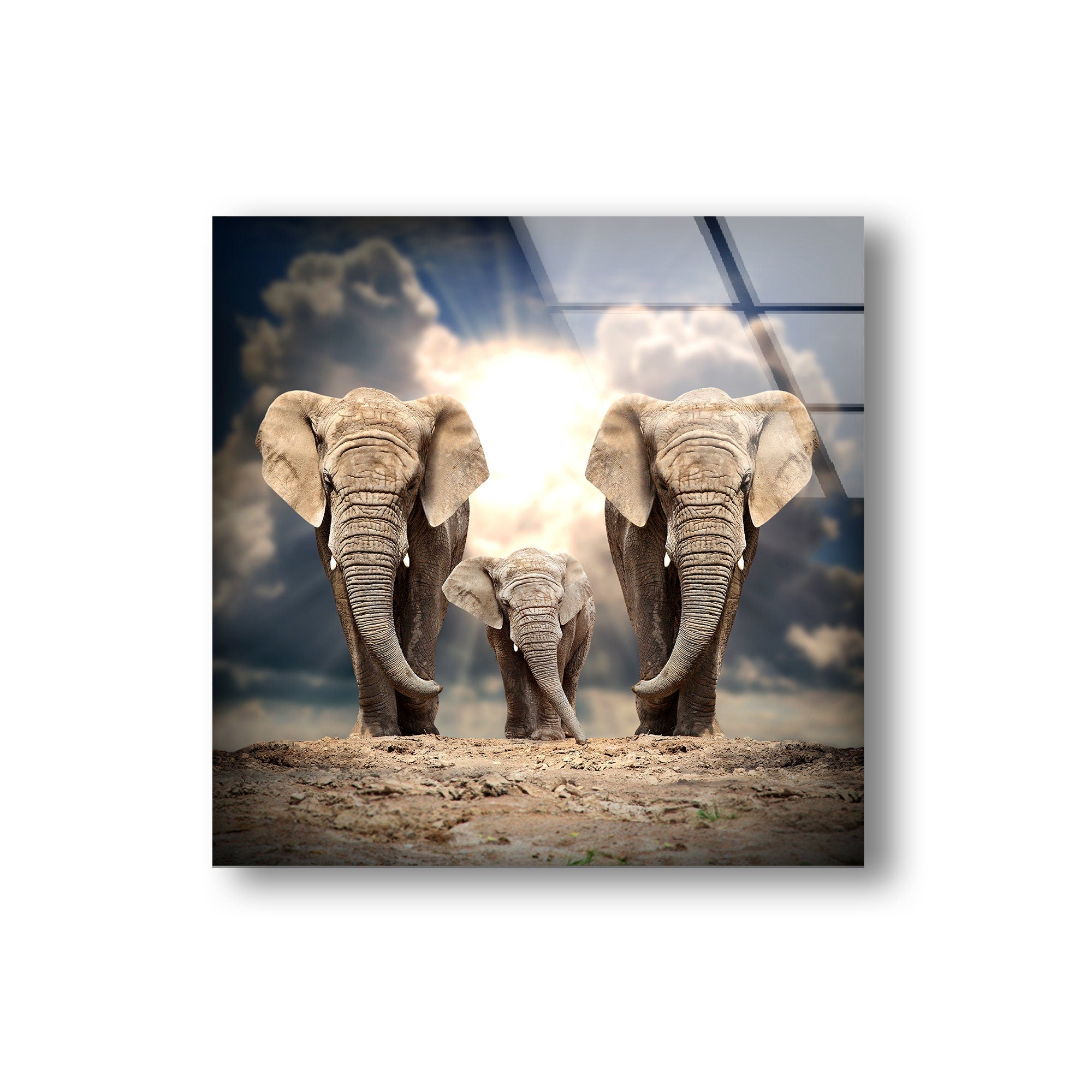 Safari Elephants Tempered Glass Wall Art