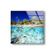 Tropical Fish Tempered Glass Wall Art