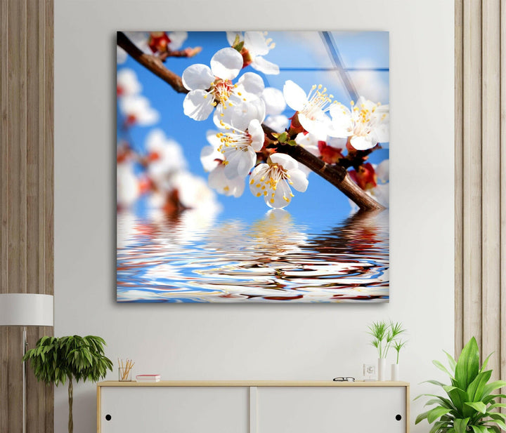 Cherry Tree Branch In Bloom Glass Wall Art, glass pictures for Wall, glass prints wall art