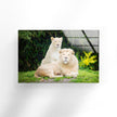 Lions Tempered Glass Wall Art