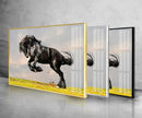 Wild Black Horse Tempered Glass Wall Art