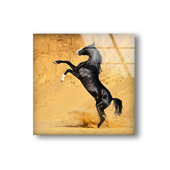 Black Horse on Desert Glass Wall Art art glass wall art, glass wall art pictures