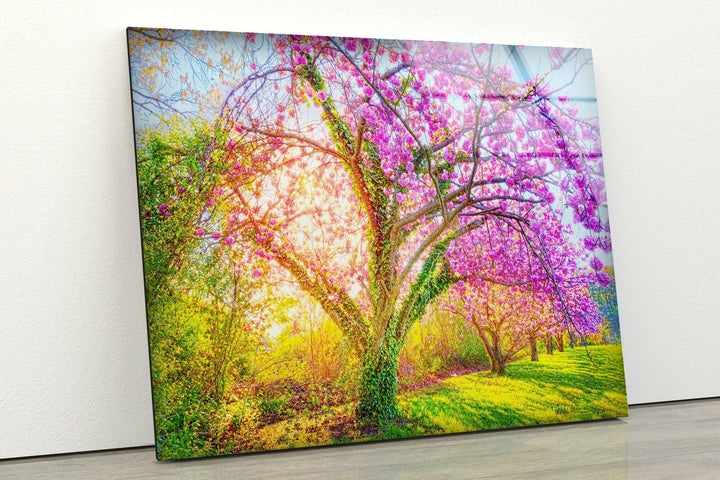 Cherry Blossom Glass Wall Art print picture on glass, Tempered Glass Wall Art
